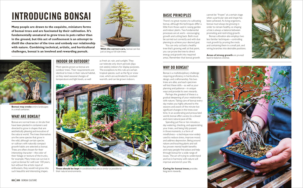 Grow Bonsai-image