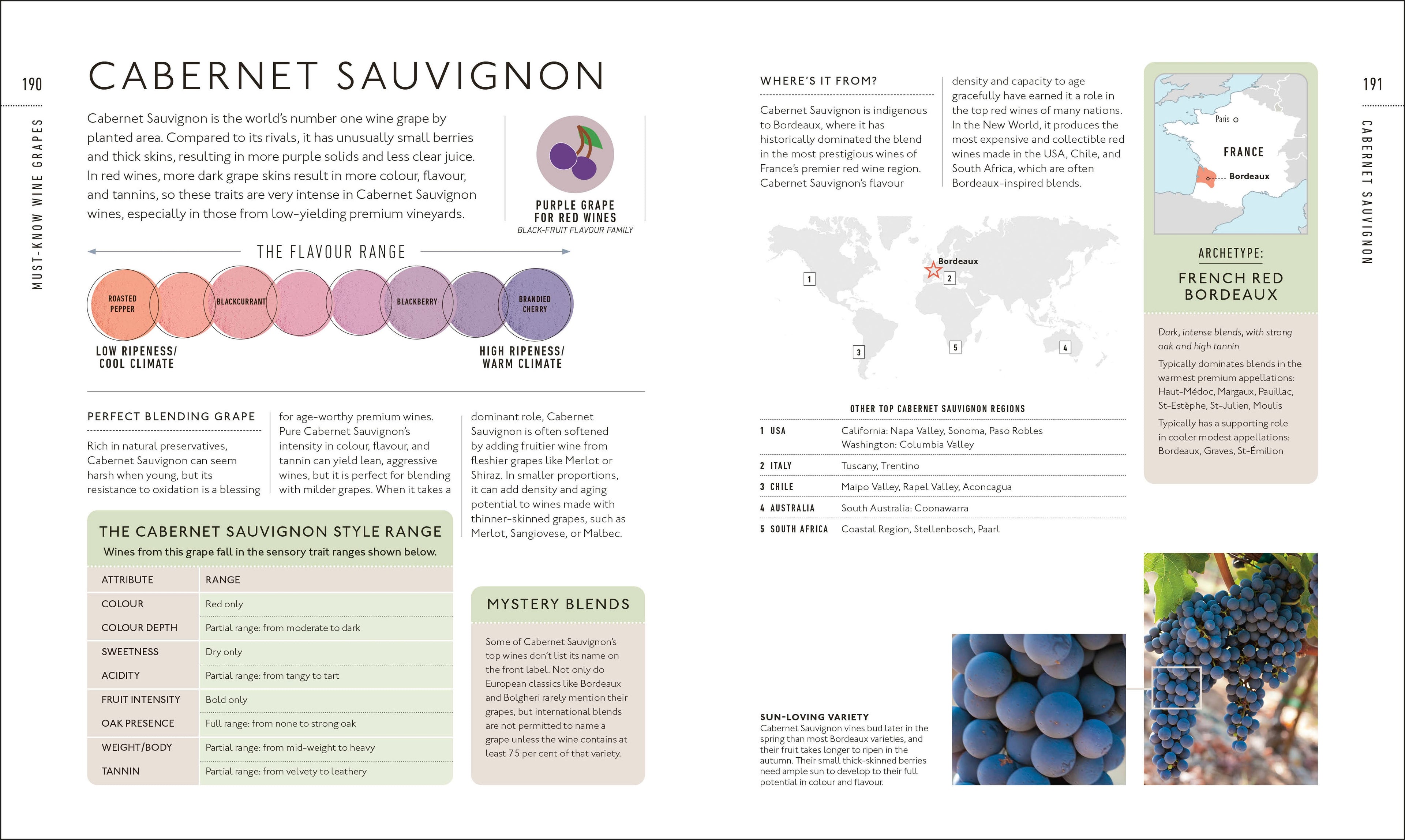 Wine A Tasting Course