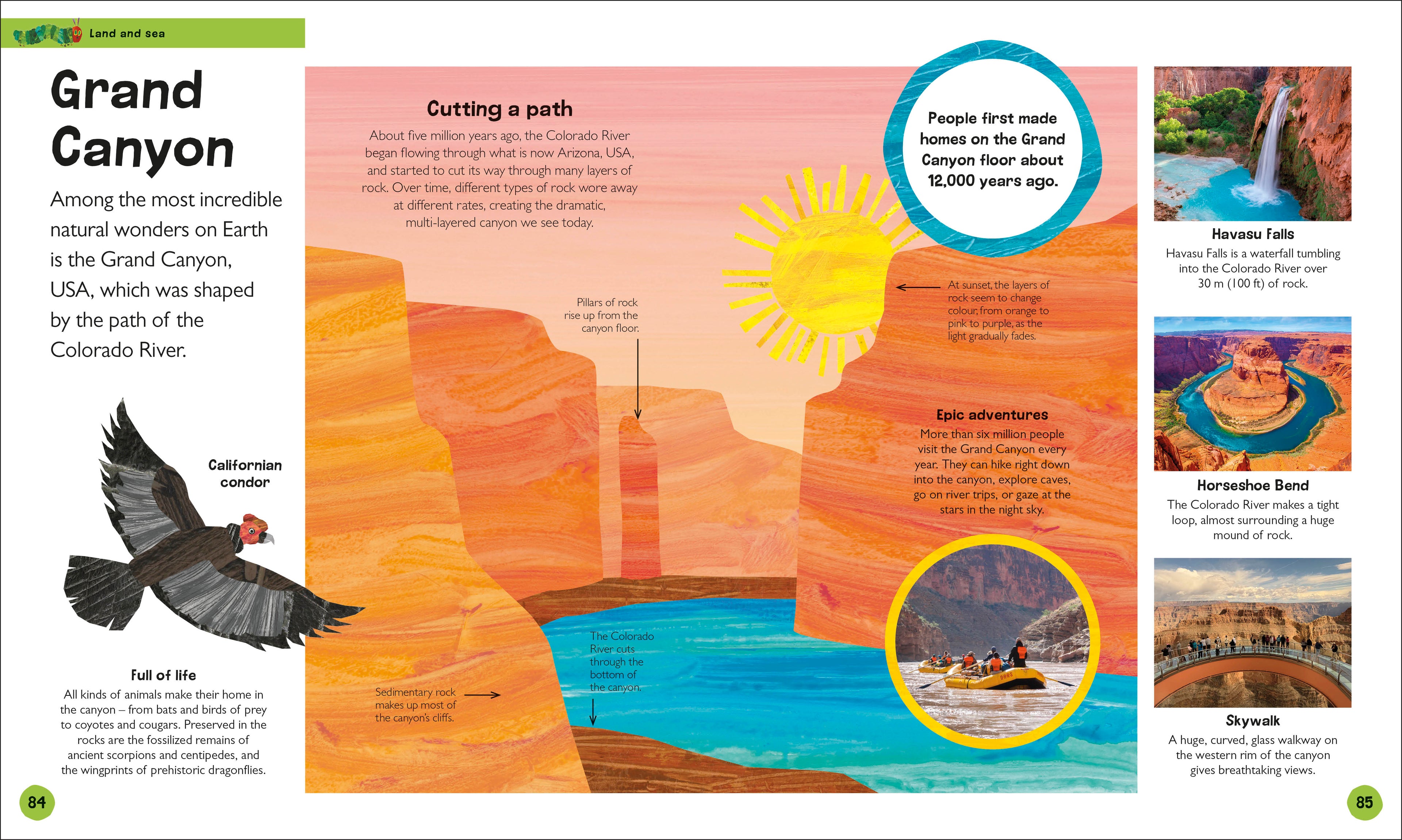 The Very Hungry Caterpillar's Very First Earth Encyclopedia-Spread, Image, (PRHC, Design, Do, Not, Use)-2