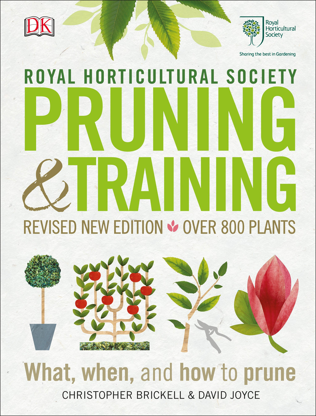 RHS Pruning and Training jacket