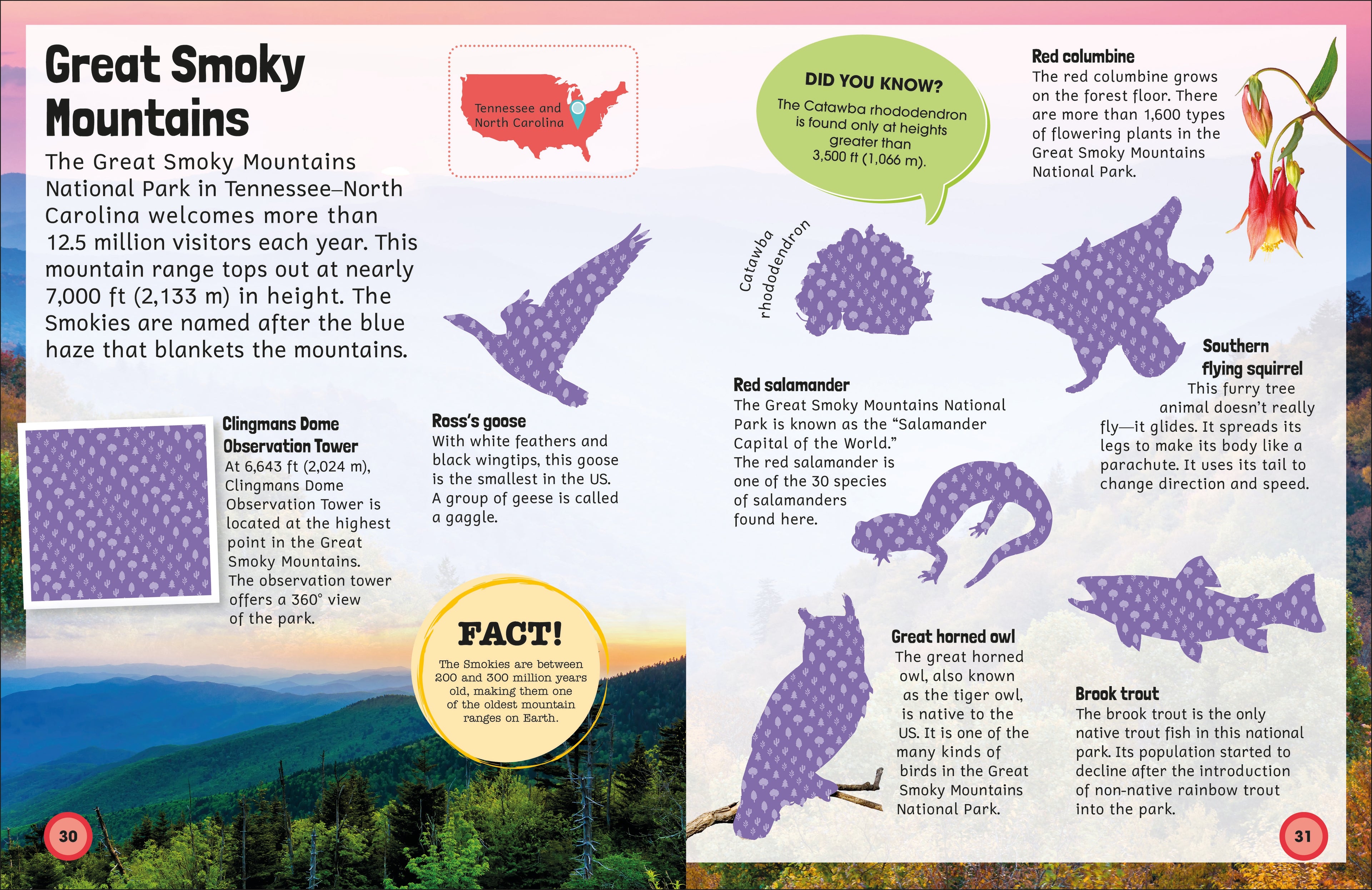 Sticker Encyclopedia National Parks