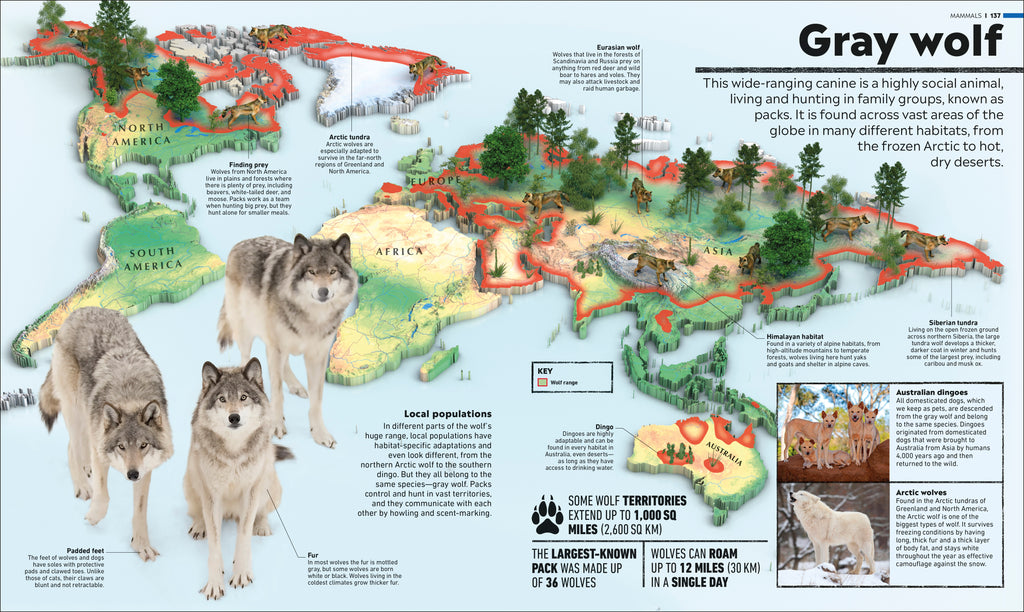 Animal Atlas