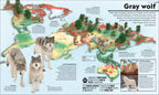 Animal Atlas