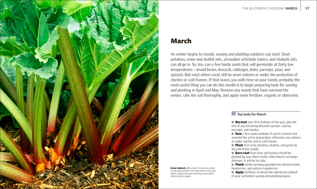 Allotment Month By Month