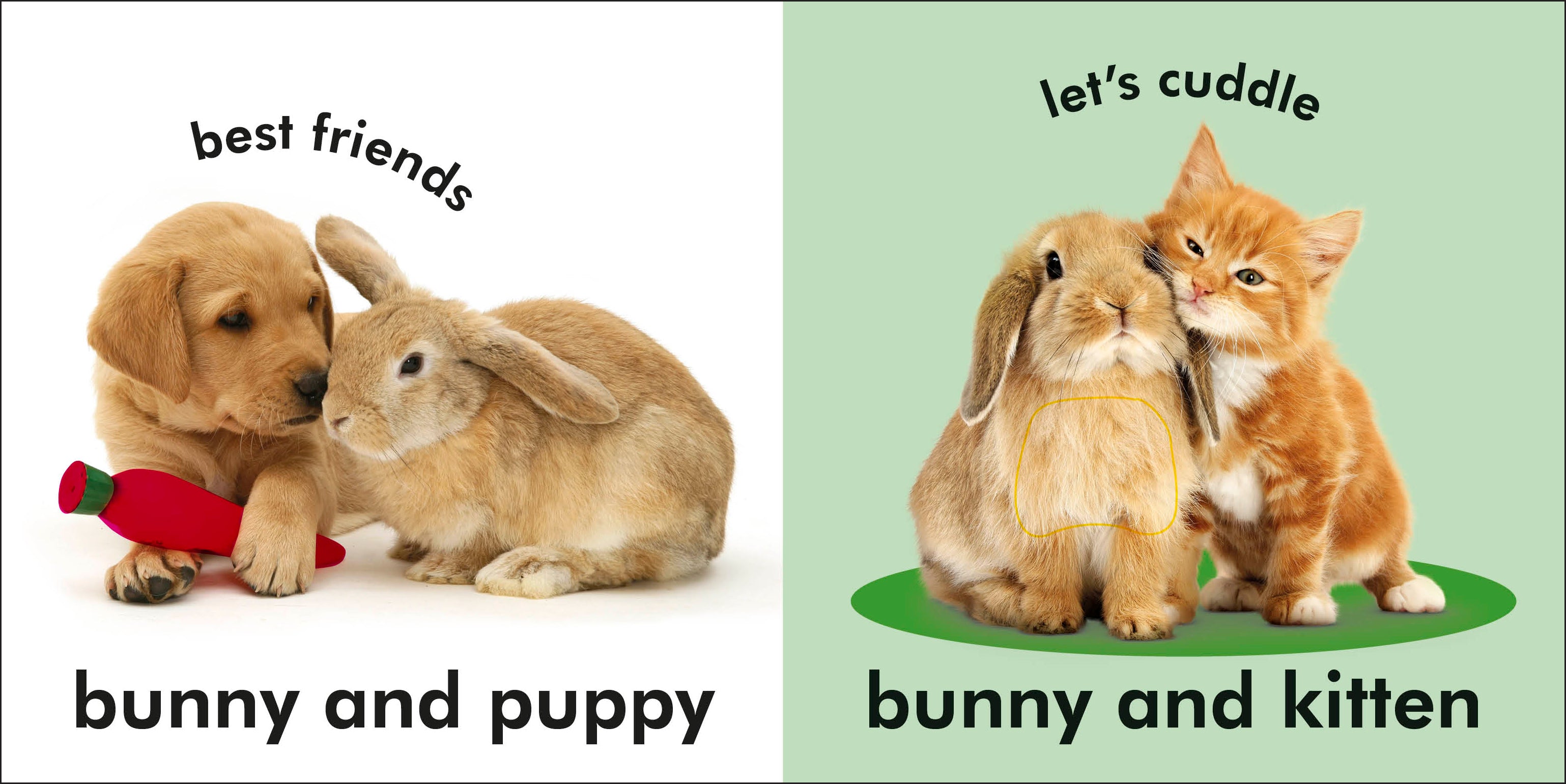 Baby Touch and Feel Bunny