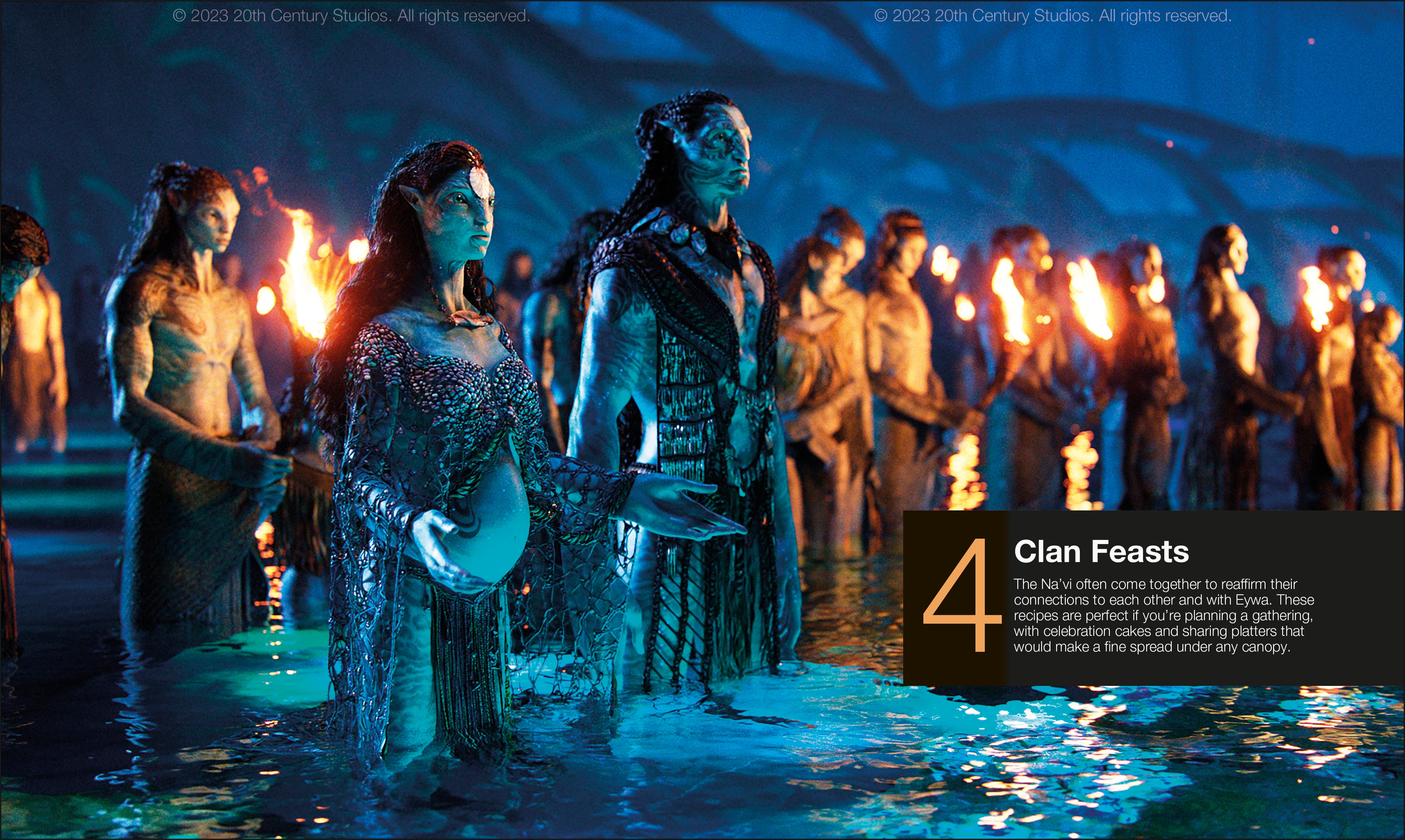 Avatar The Official Cookbook of Pandora-Spread, Image, (PRHC, Design, Do, Not, Use)-7