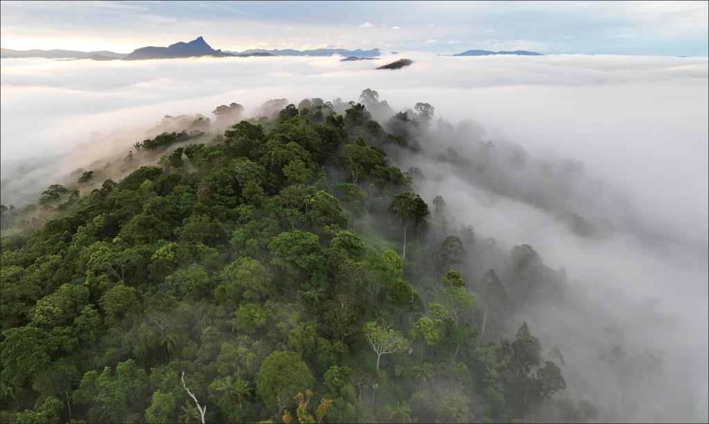 Mother the Mountain-image