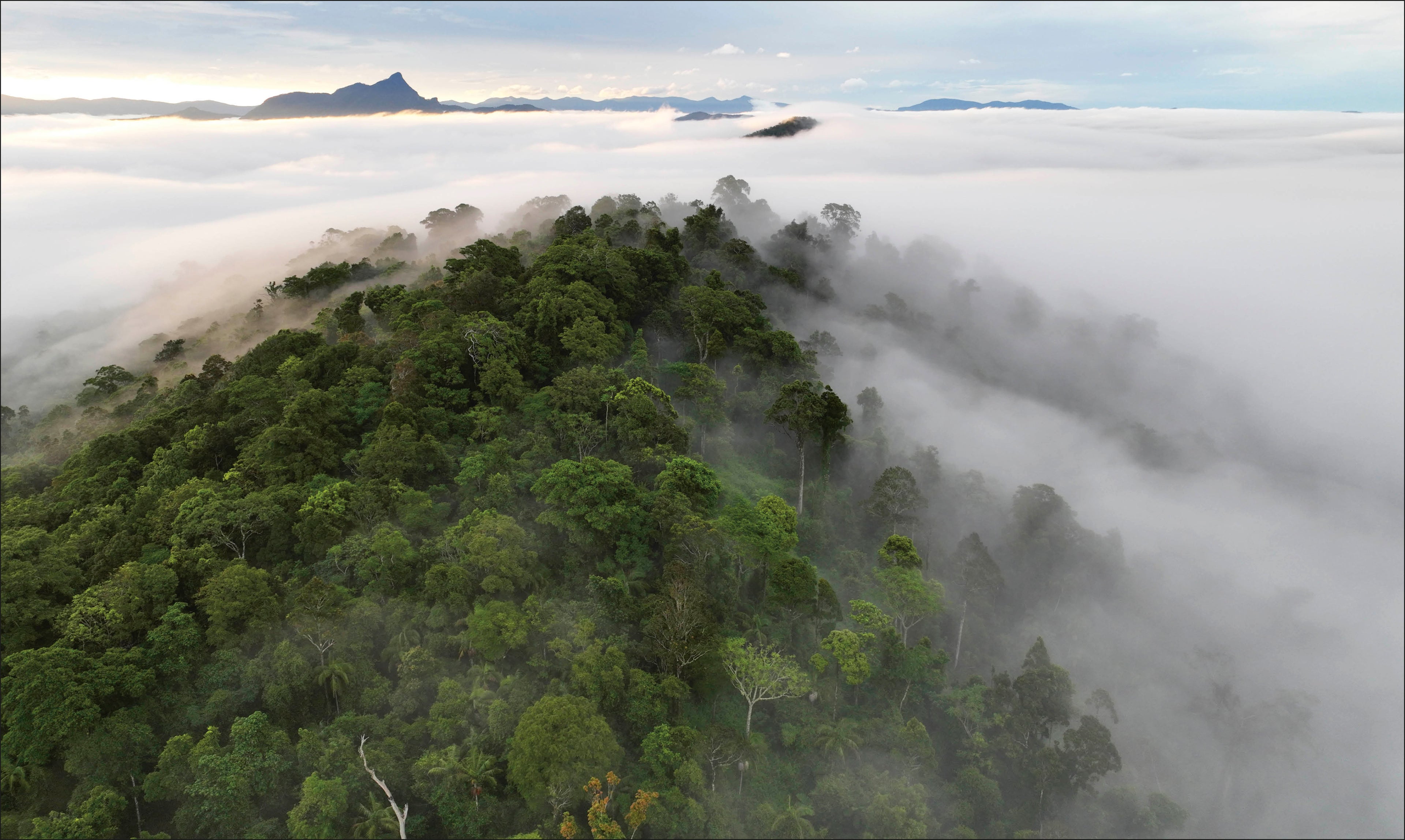 Mother the Mountain-image