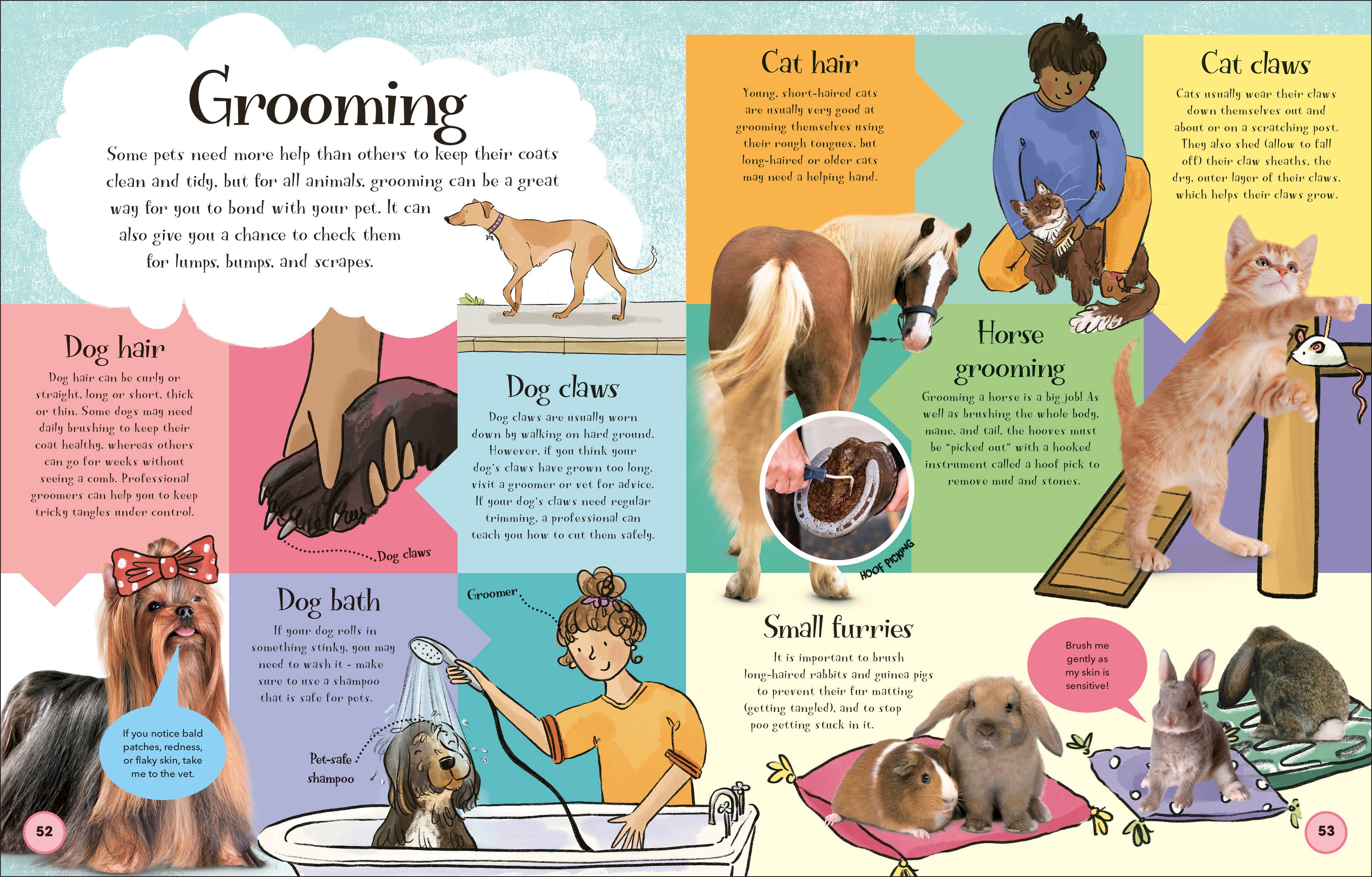 Pets and Their People