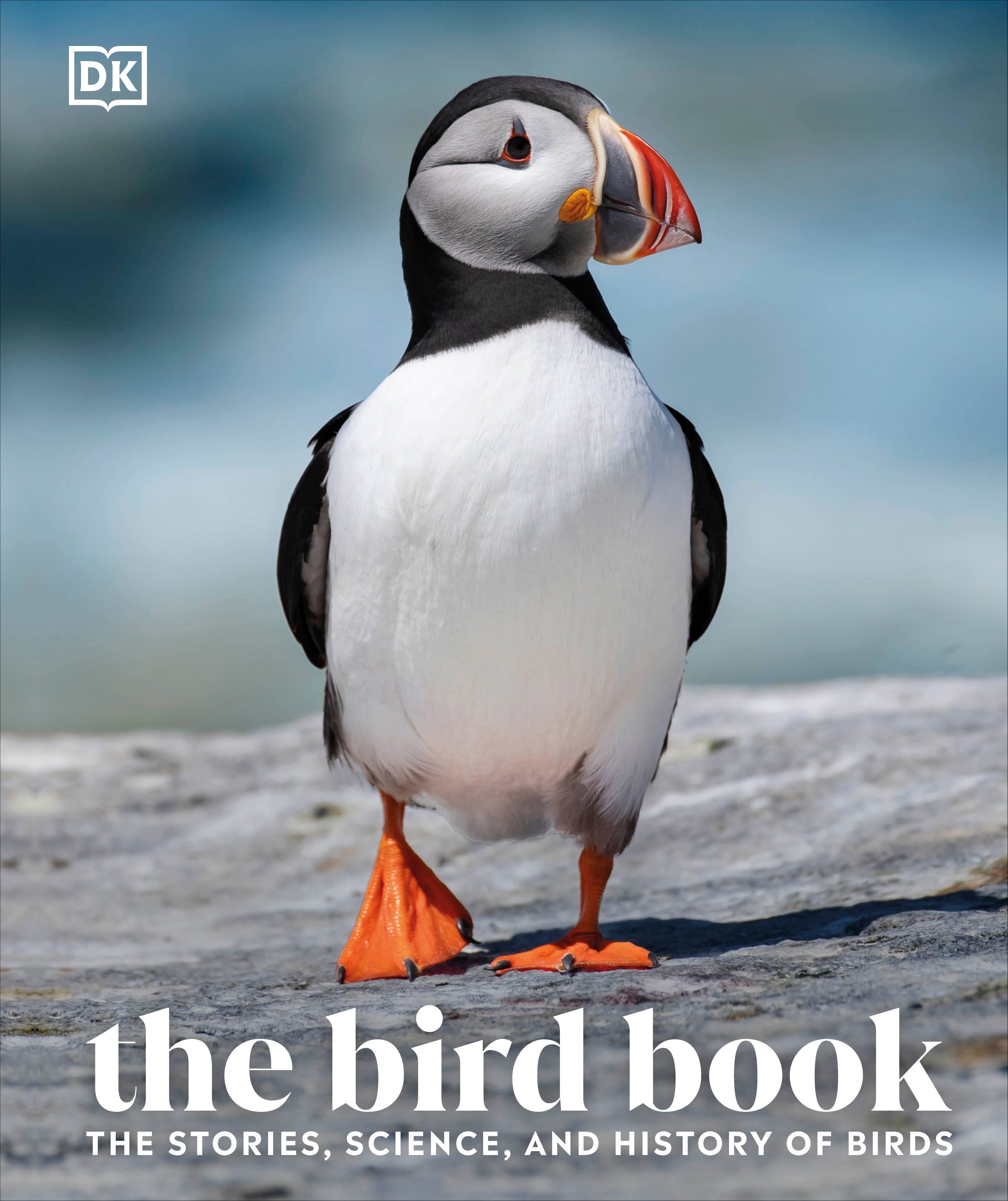 The Bird Book- book cover