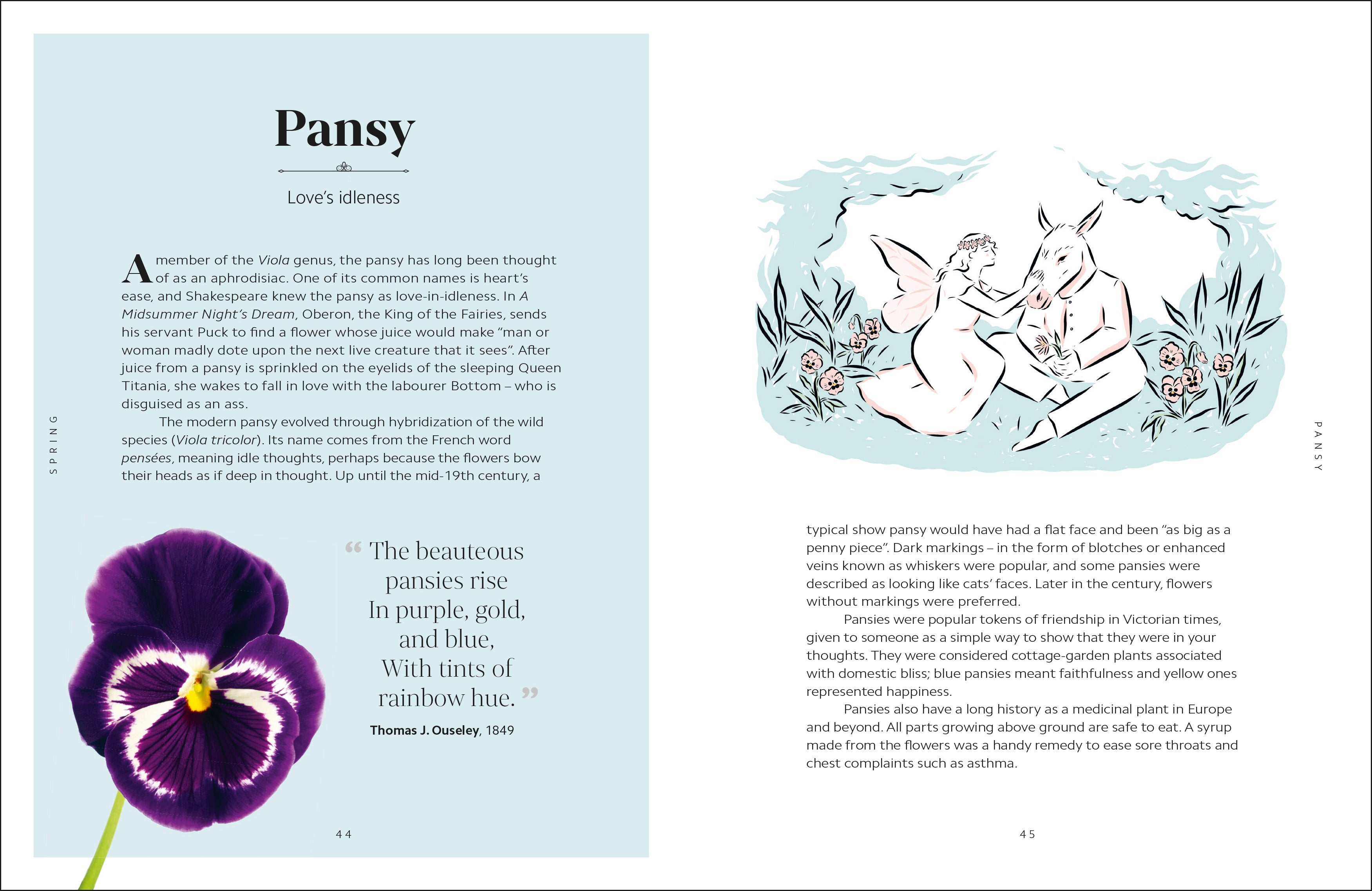 The Secret Language of Flowers