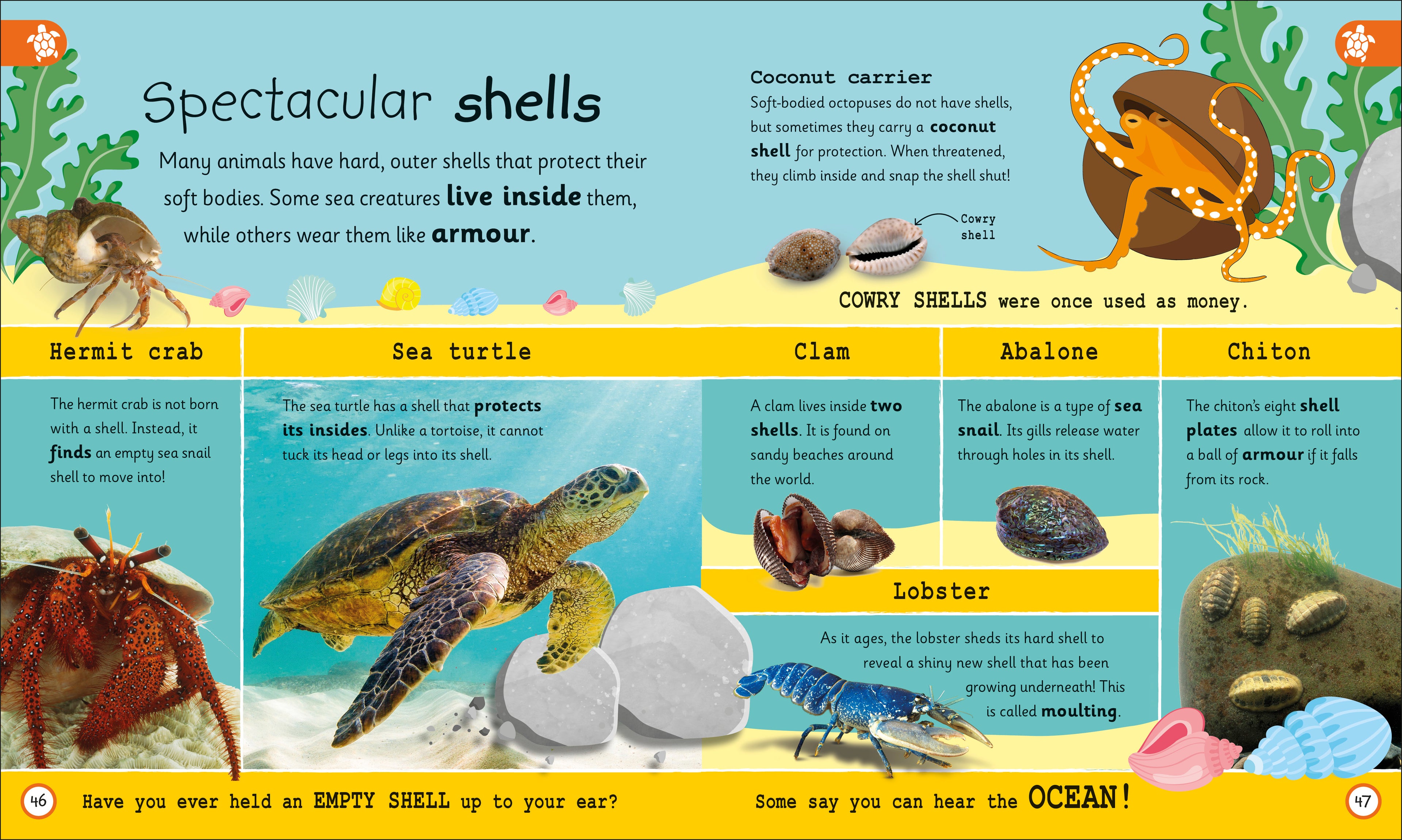 My Encyclopedia of Very Important Oceans