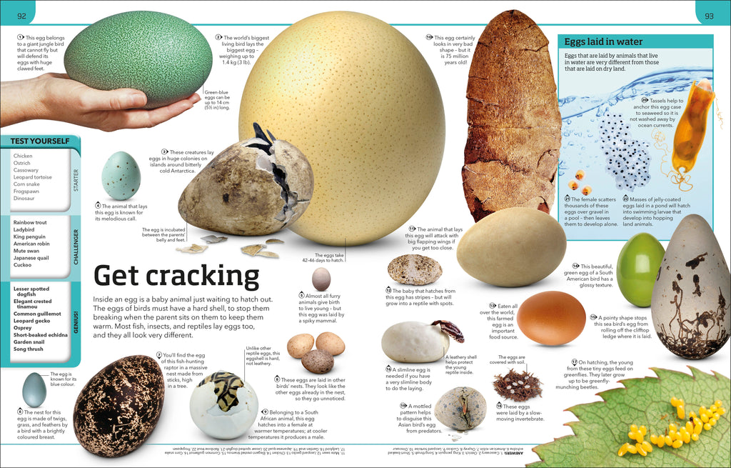 General Knowledge Genius!