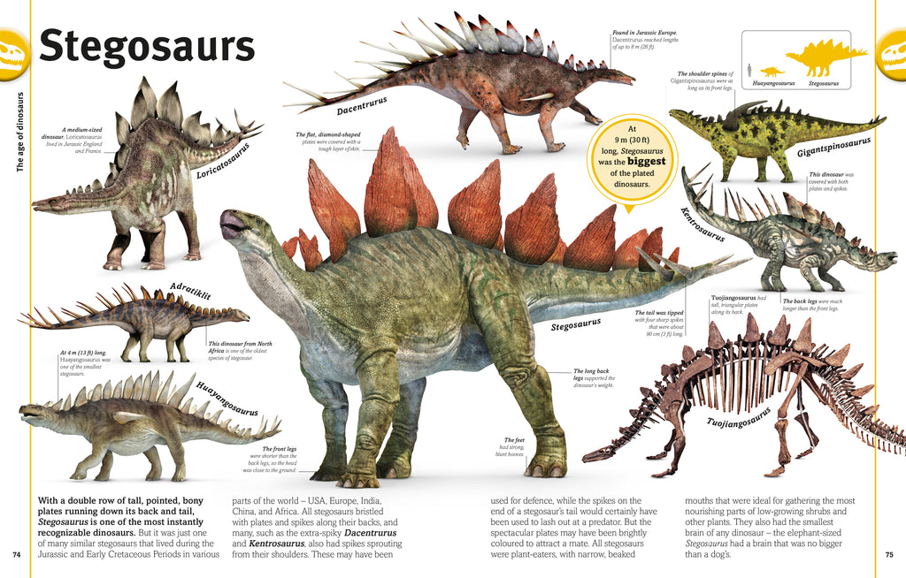 The Dinosaur Book