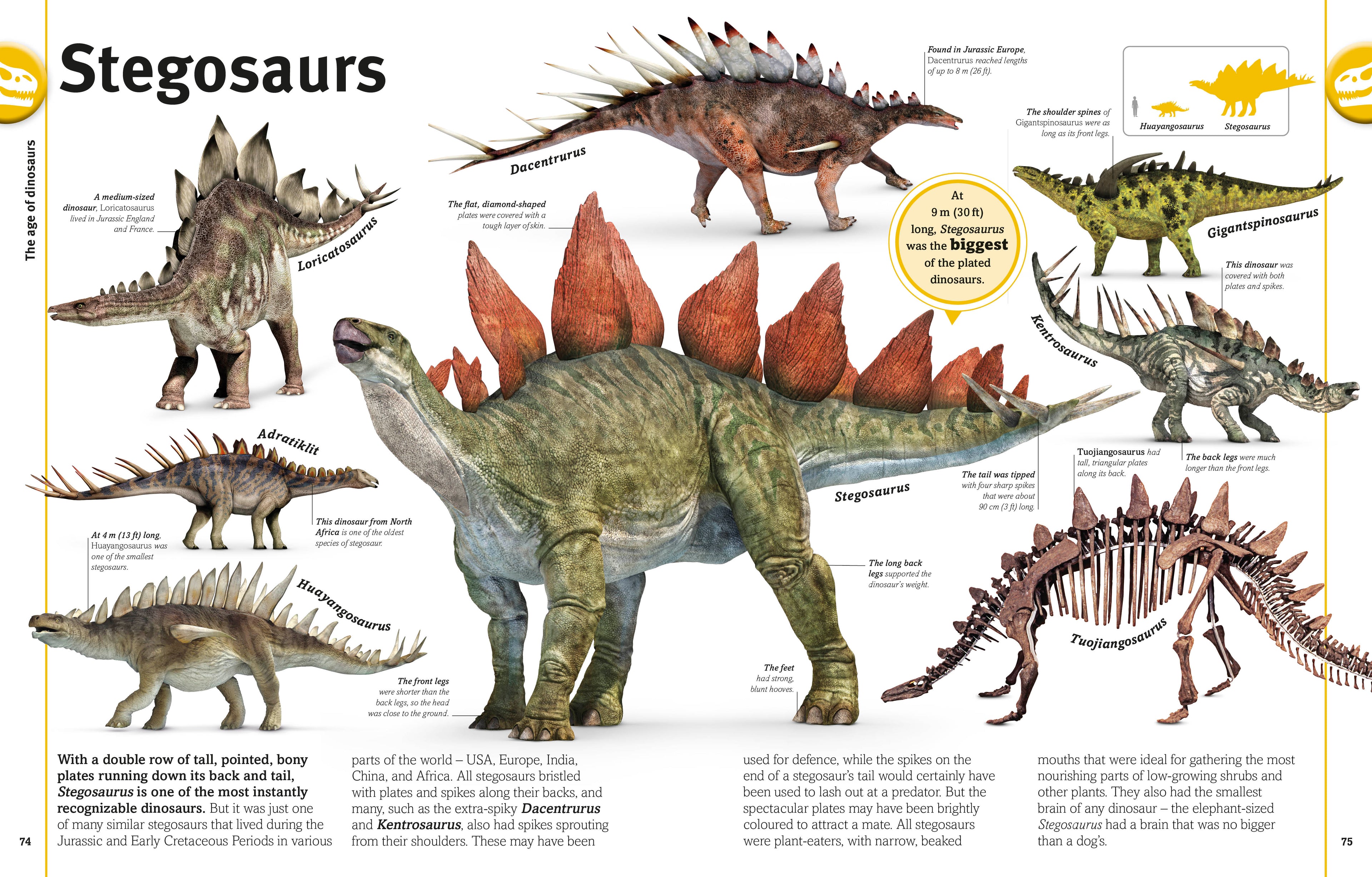 The Dinosaur Book