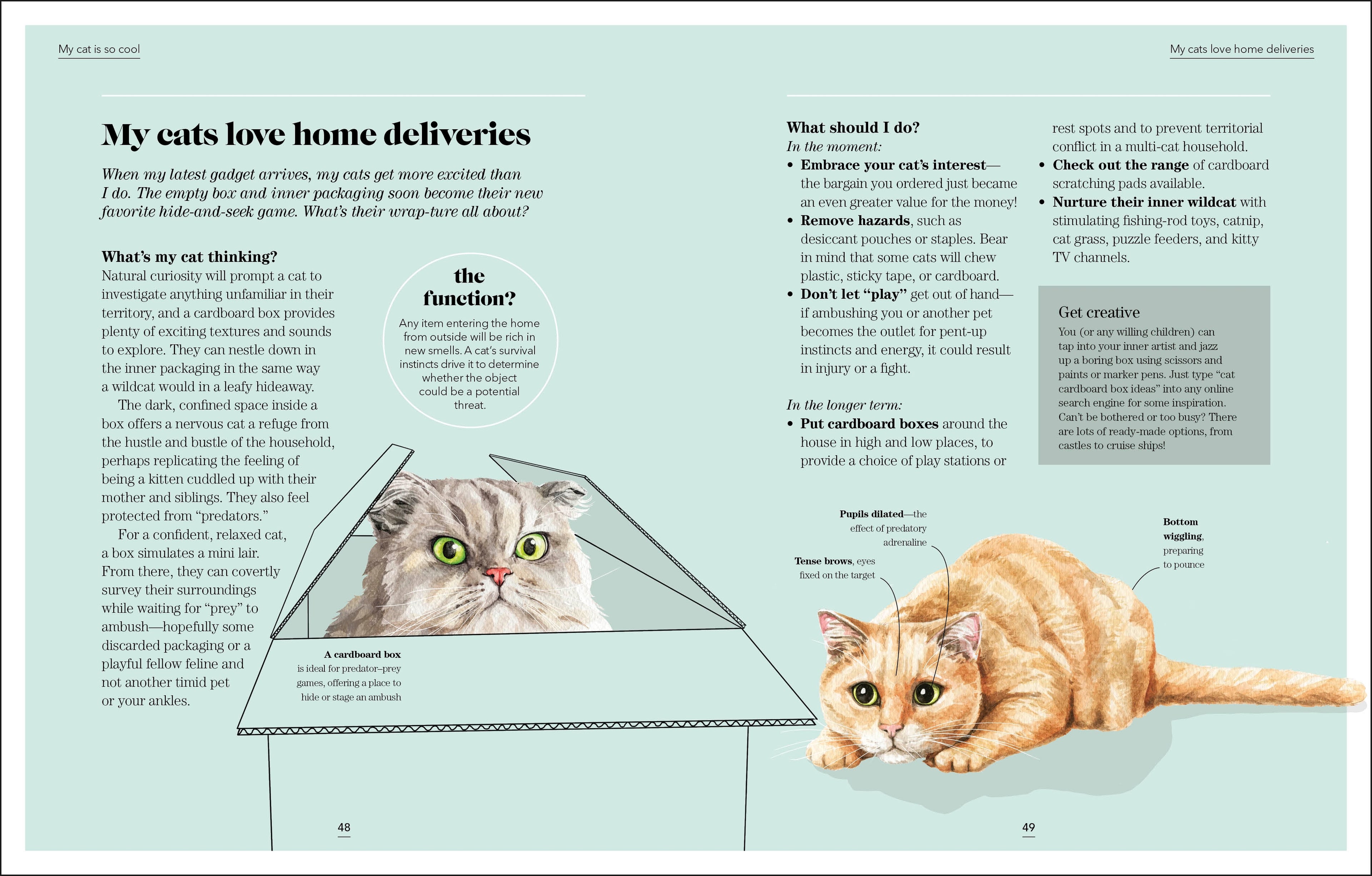 What's My Cat Thinking?