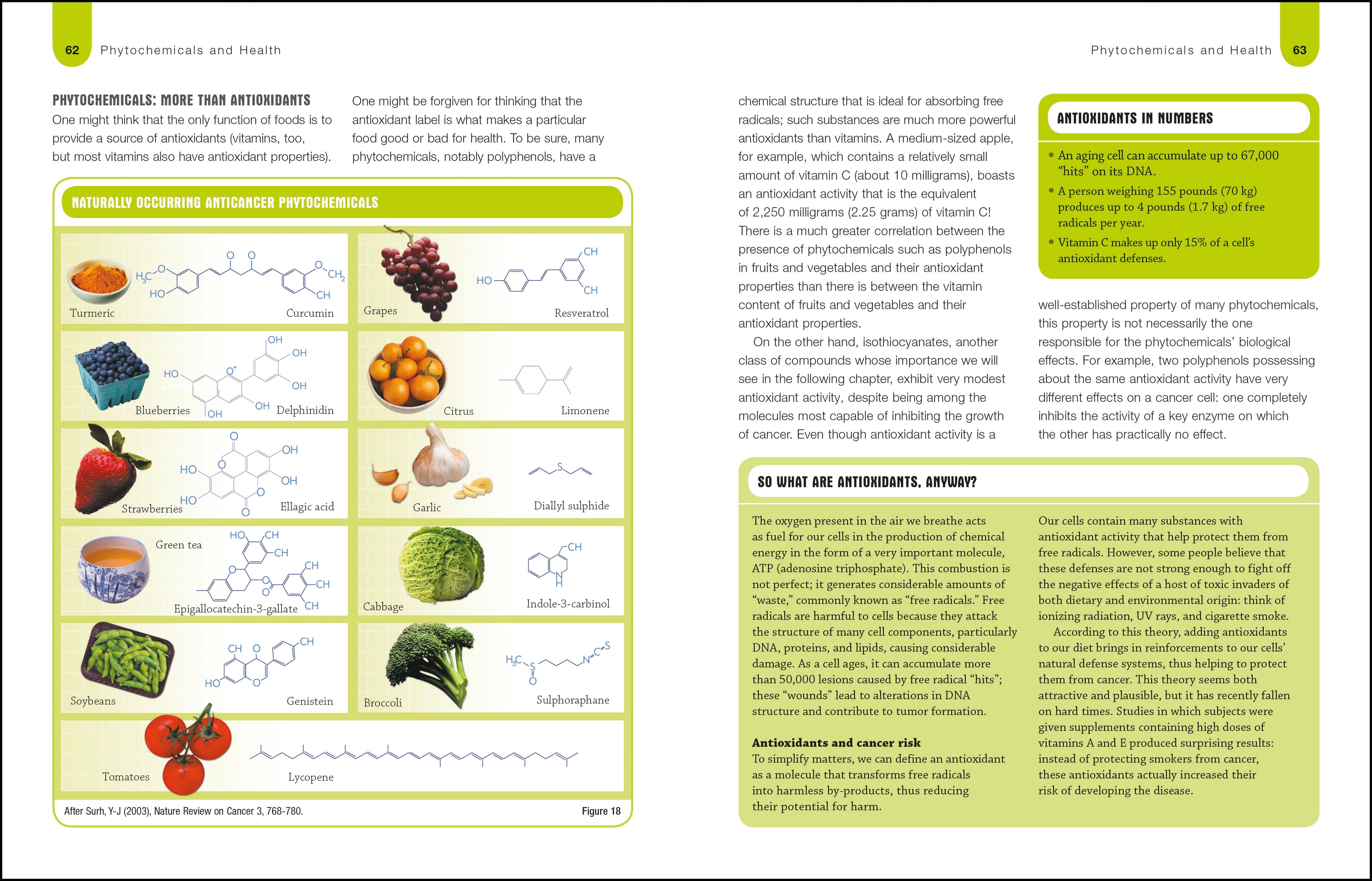 Foods to Fight Cancer