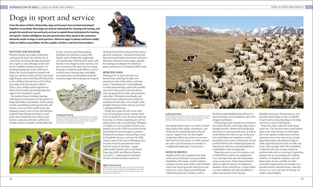 The Dog Encyclopedia