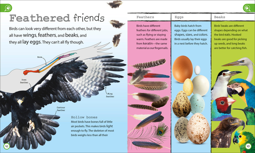 My Encyclopedia of Very Important Things Collection-image