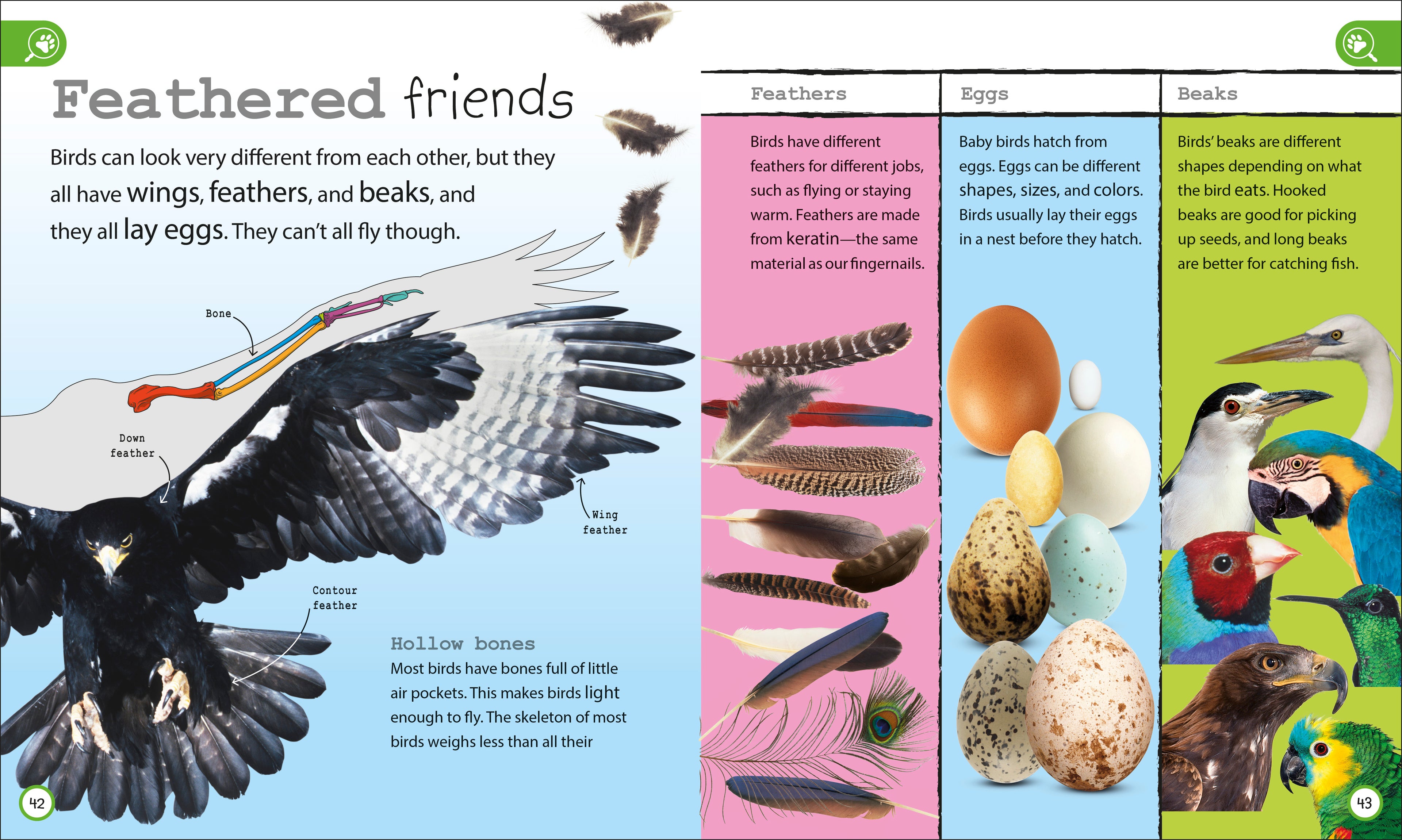 My Encyclopedia of Very Important Things Collection-image