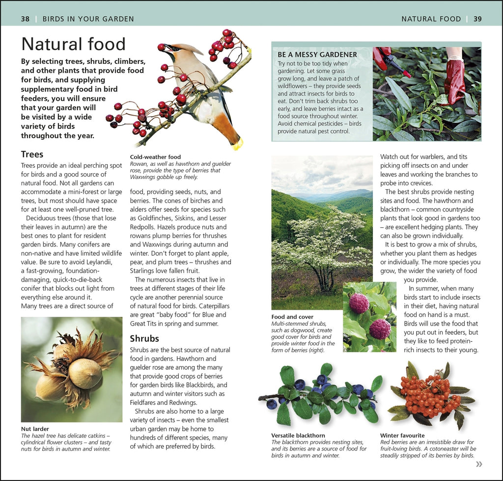 RSPB Pocket Garden Birdwatch