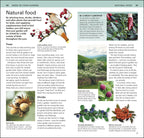 RSPB Pocket Garden Birdwatch