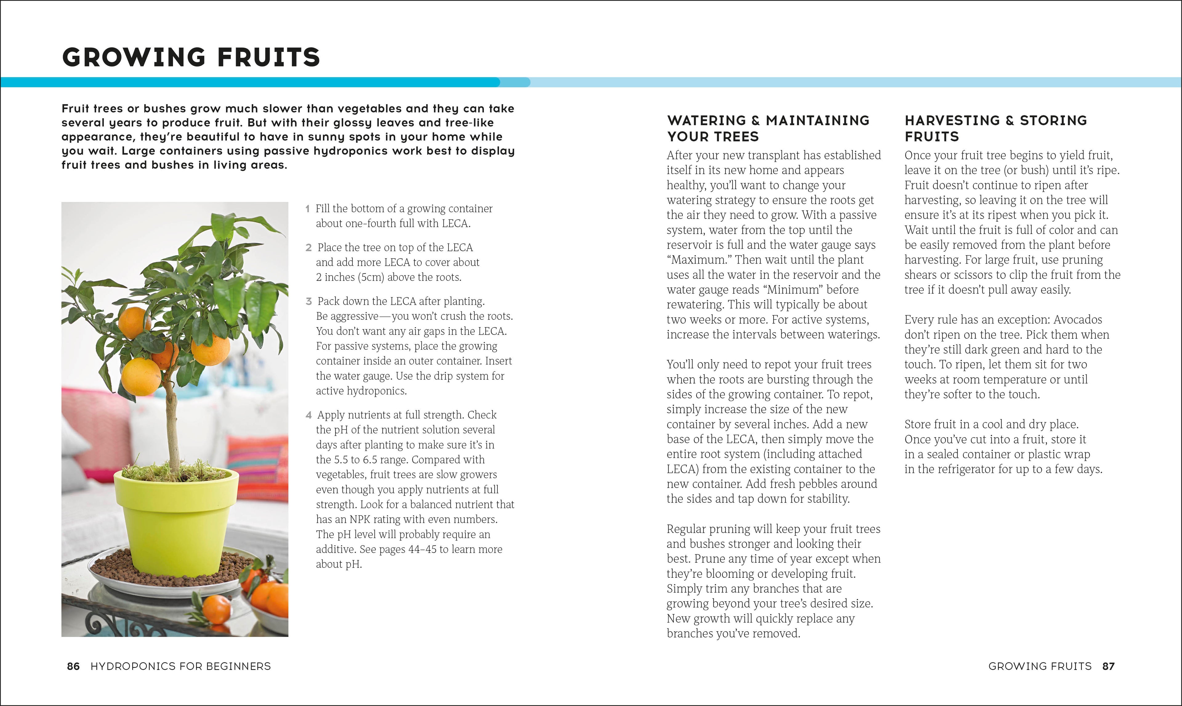 Hydroponics for Beginners-Spread, Image, (PRHC, Design, Do, Not, Use)-7