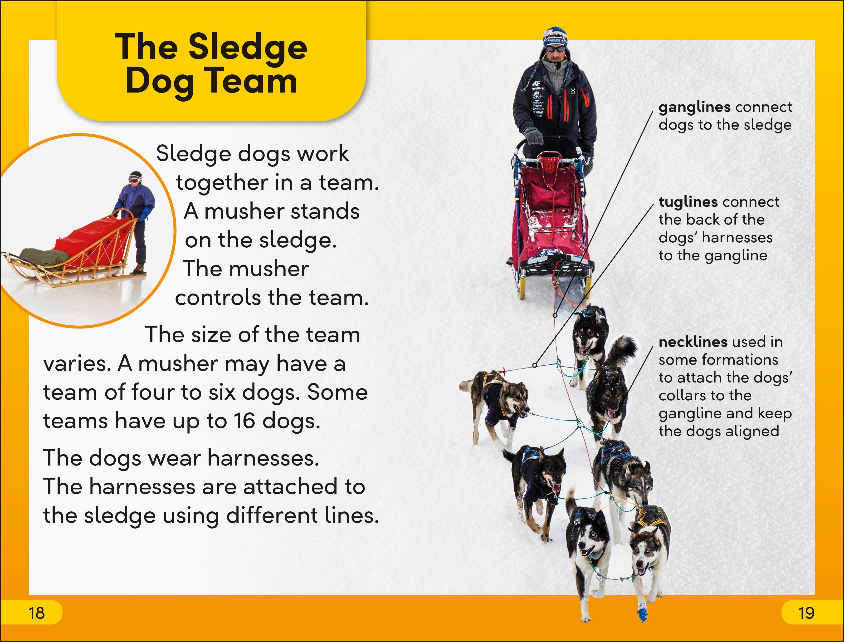 DK Super Readers Level 2 Snow Dogs