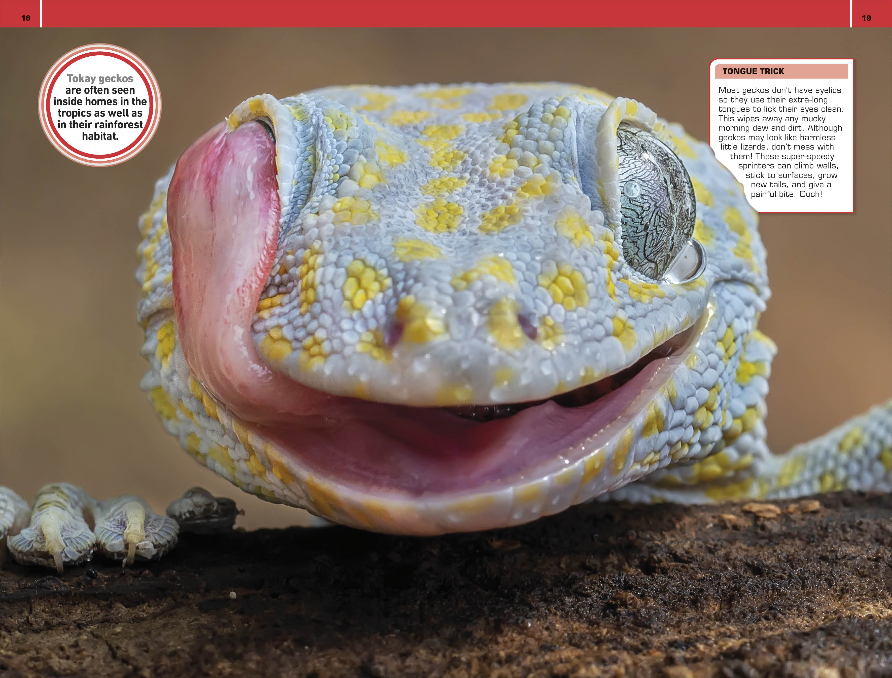 1,000 Amazing Gross Facts