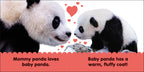 Baby Touch and Feel Panda