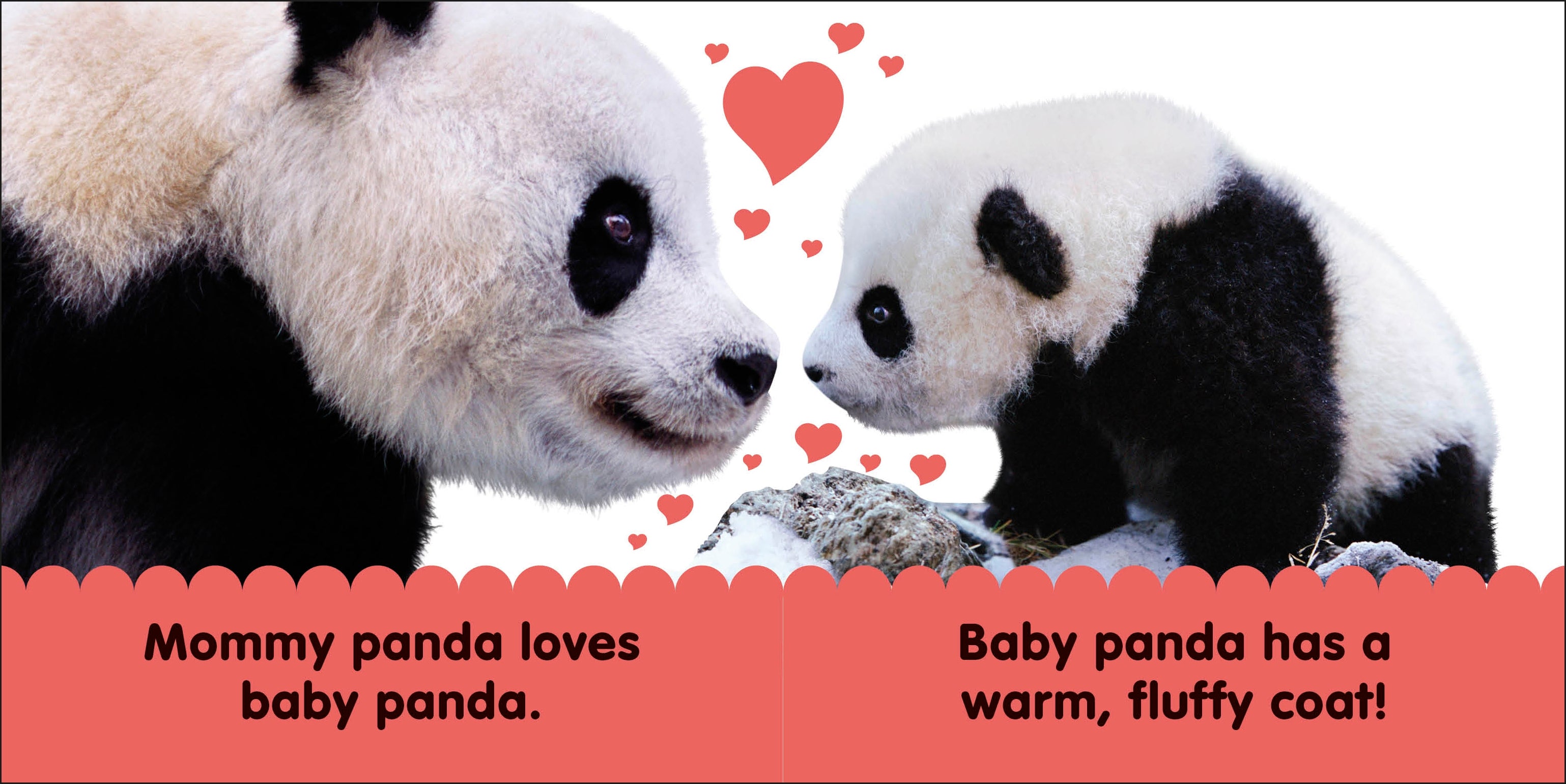 Baby Touch and Feel Panda