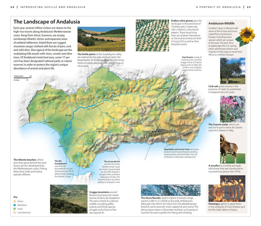 DK Seville and Andalucía