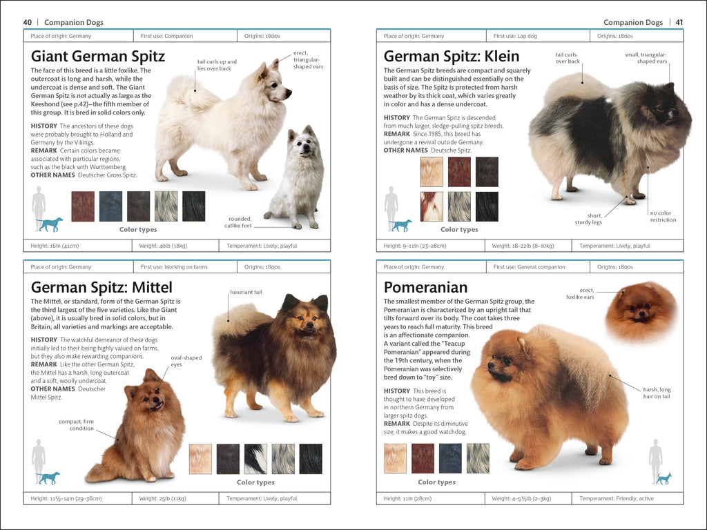 Dogs-Spread, Image, (PRHC, Design, Do, Not, Use)-5