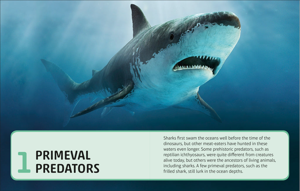 Sharks and Other Deadly Ocean Creatures Visual Encyclopedia