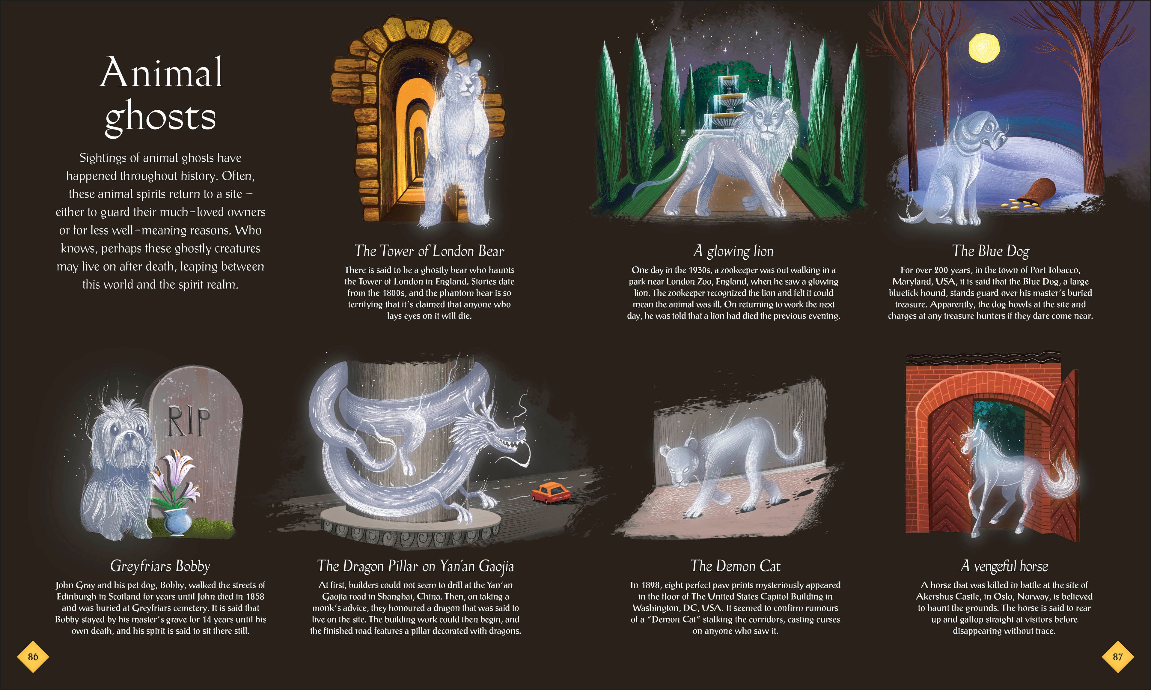 The Book of Mysteries, Magic, and the Unexplained