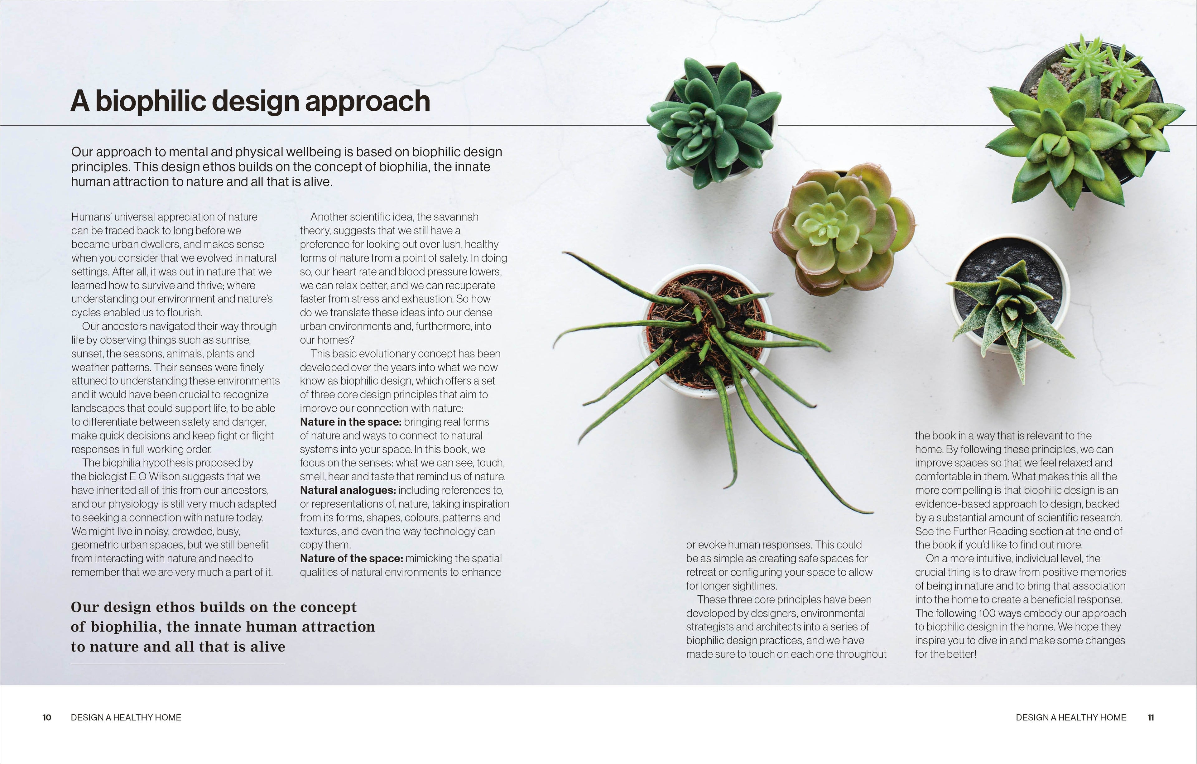 Design A Healthy Home