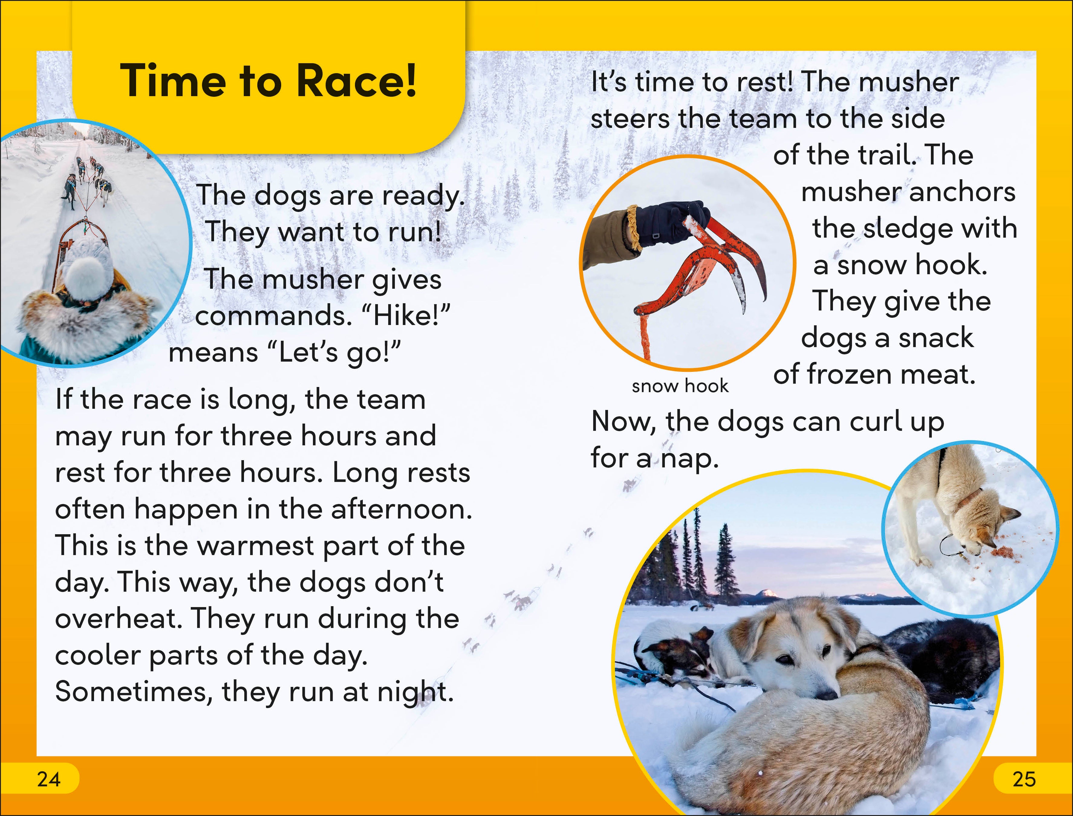 DK Super Readers Level 2 Snow Dogs