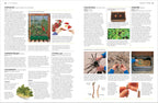 RHS Propagating Plants-Spread, Image, (PRHC, Design, Do, Not, Use)-5
