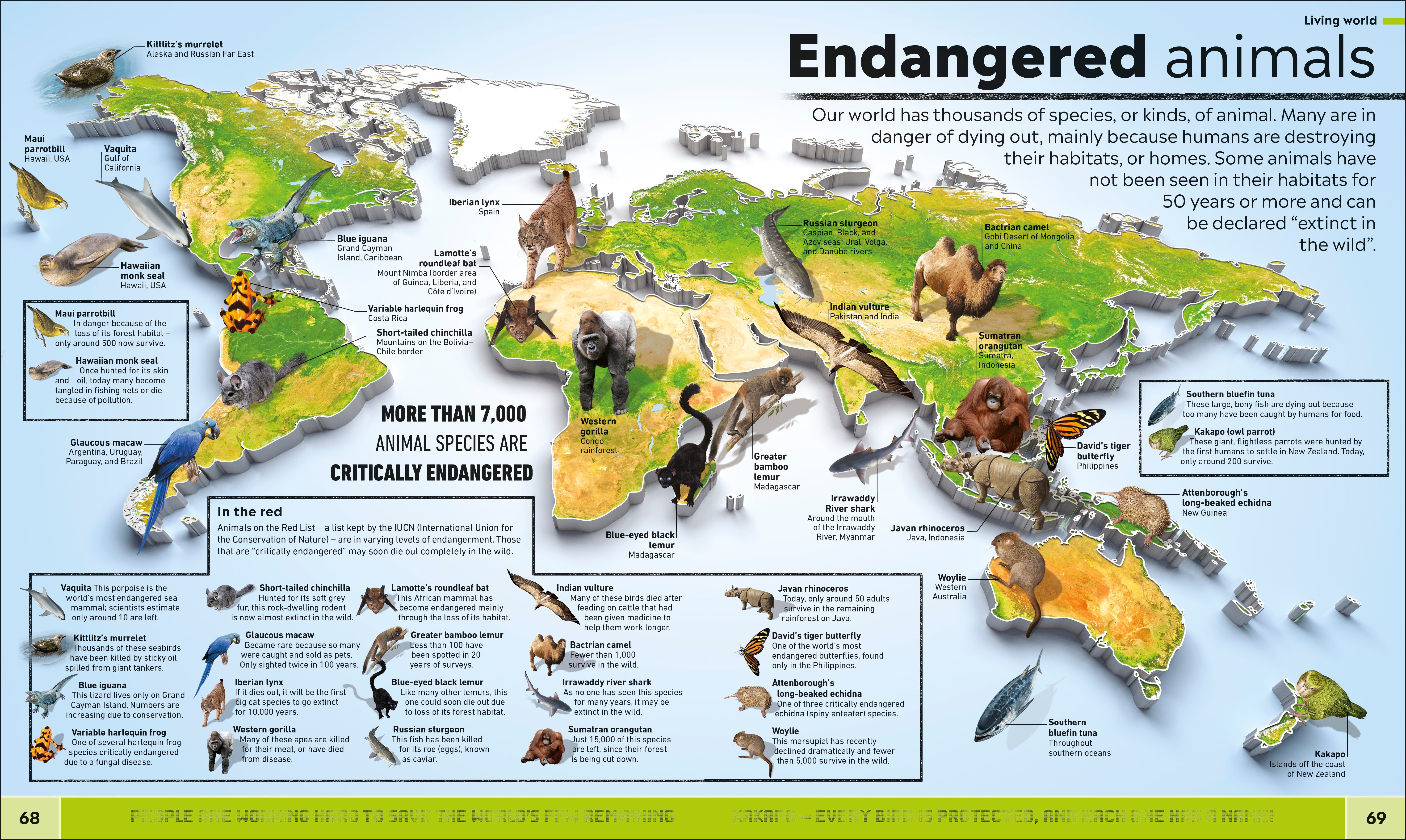 What's Where on Earth? – DK