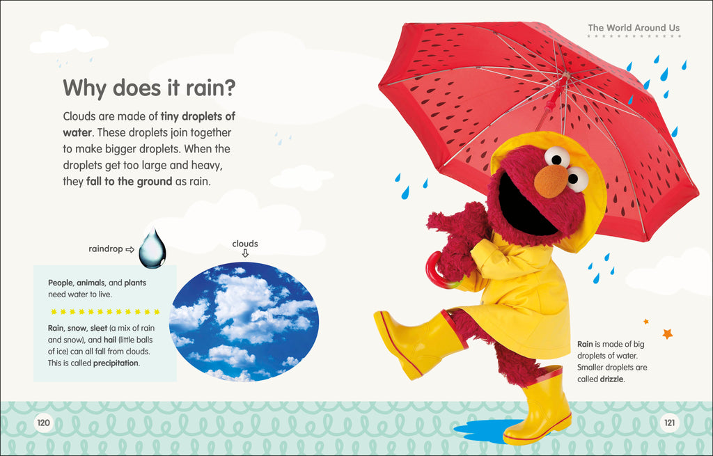 Sesame Street Elmo Asks Why?