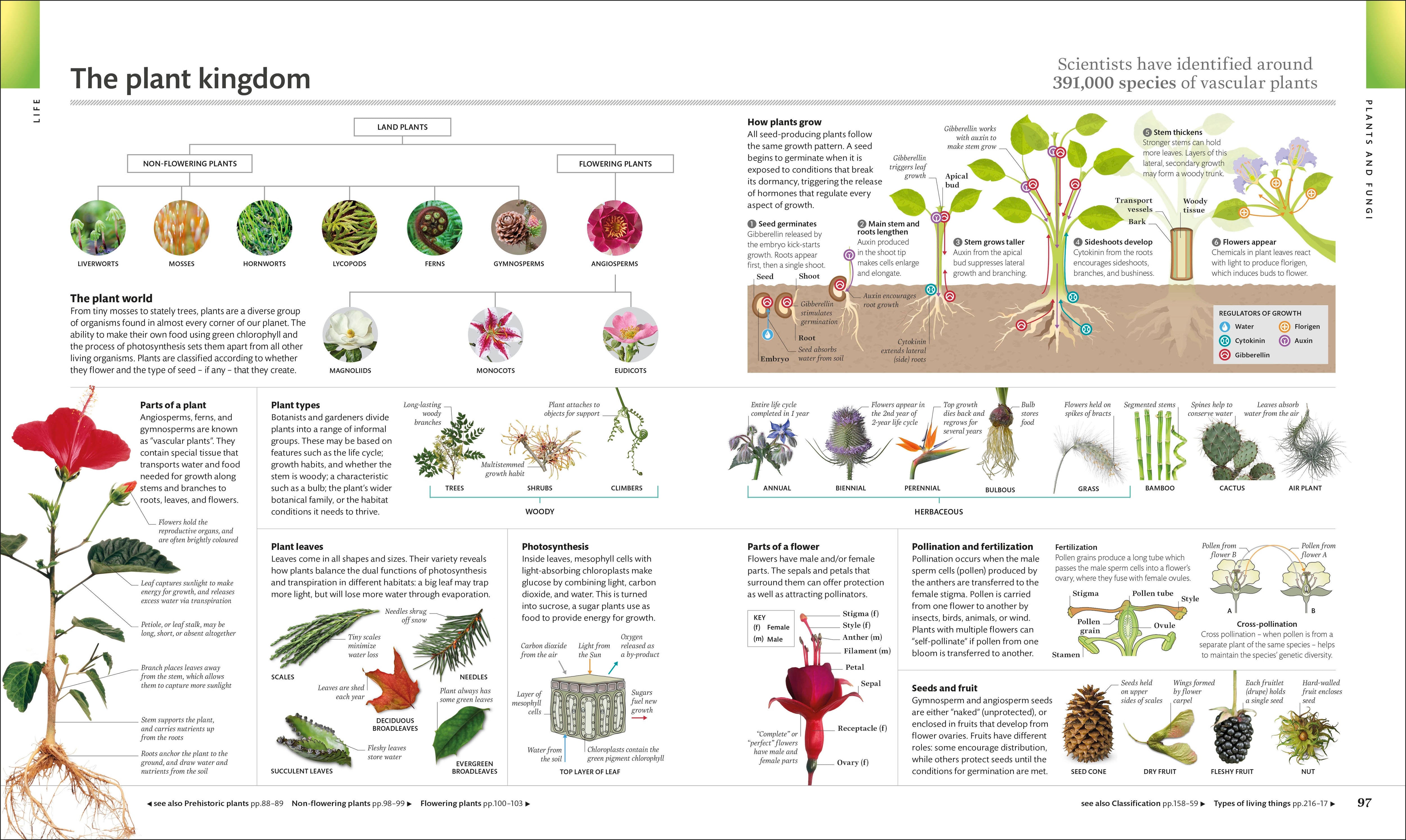 The Visual Encyclopedia – DK