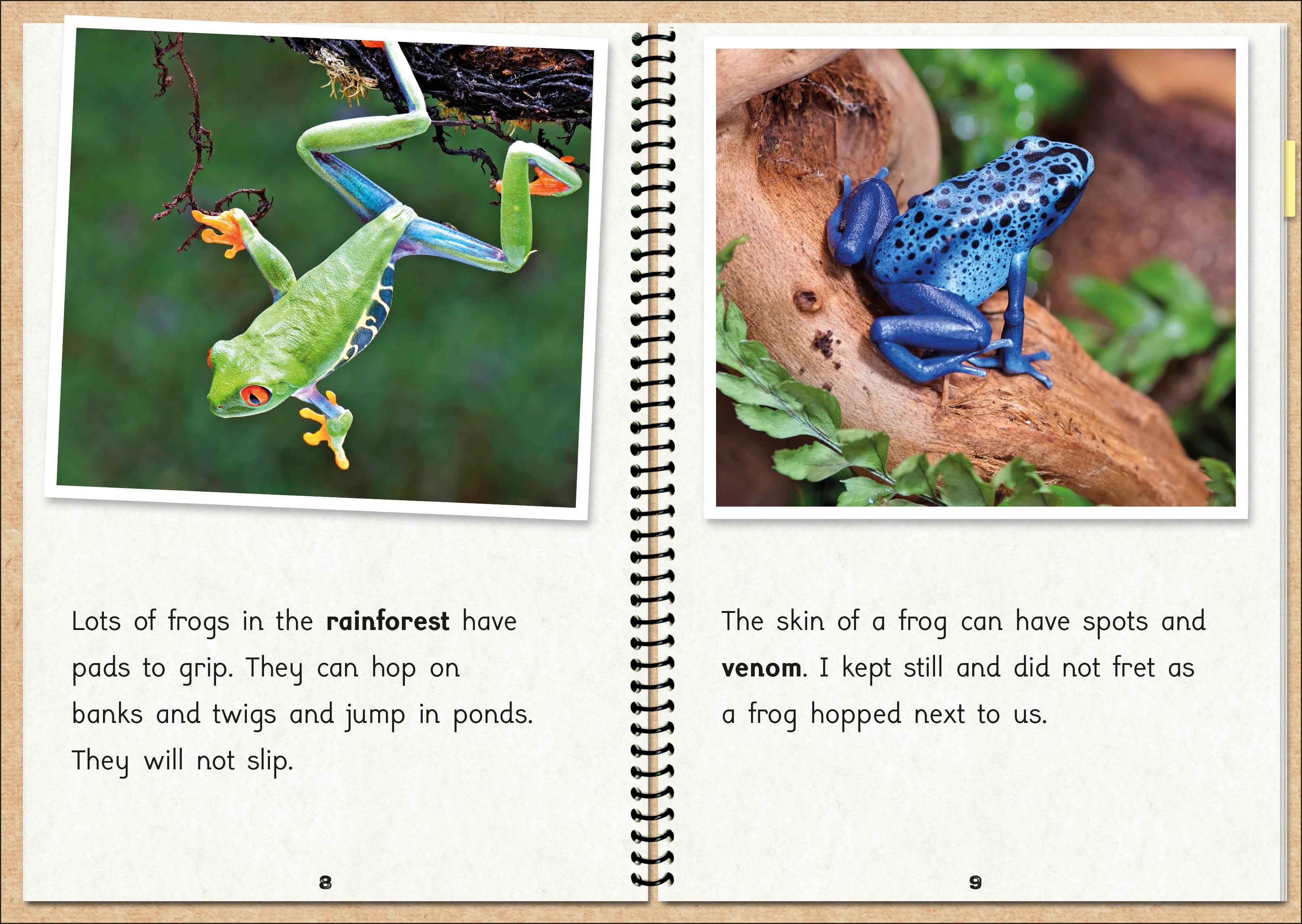 Phonic Books  The Fact Files 1