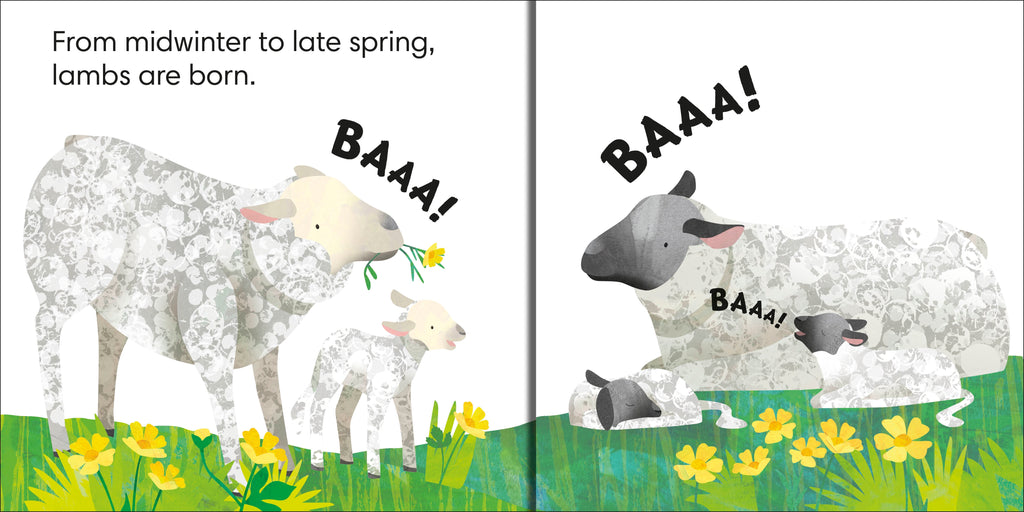 Jonny Lambert's Farm