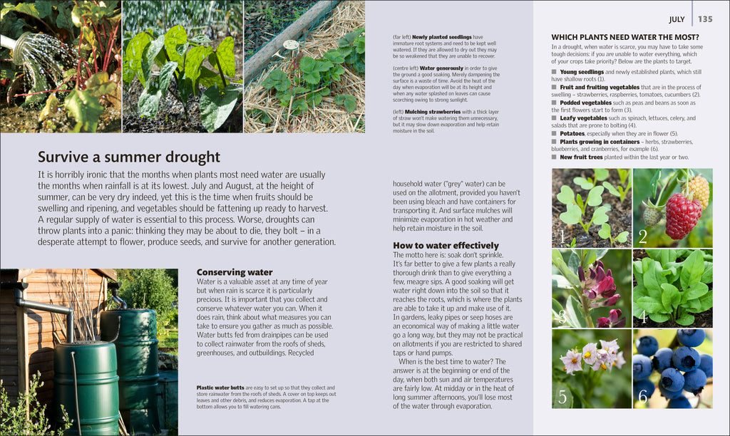 Allotment Month By Month