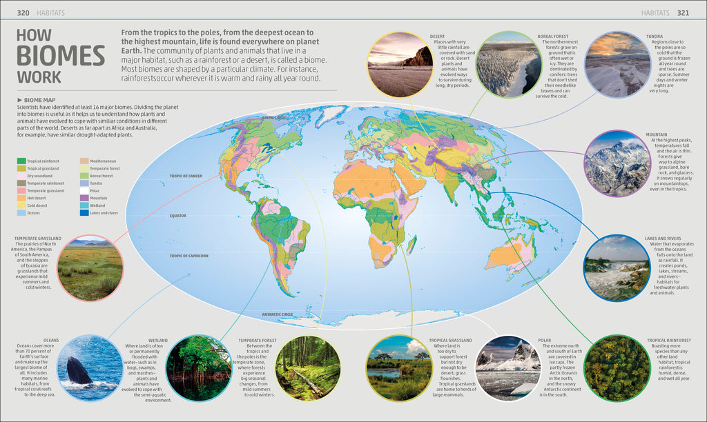 Explanatorium of Nature