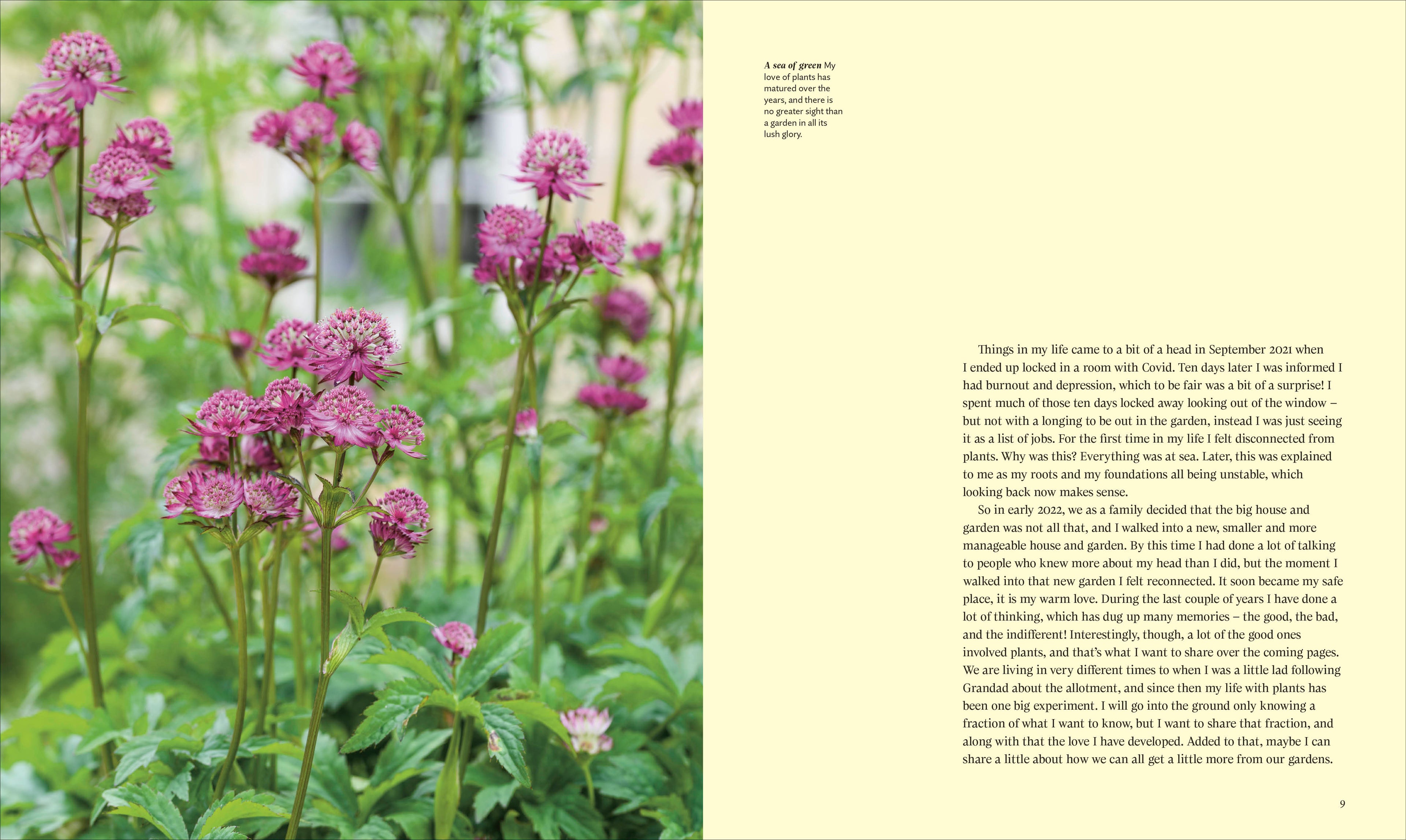 For the Love of Plants-Spread, Image, (PRHC, Design, Do, Not, Use)-3