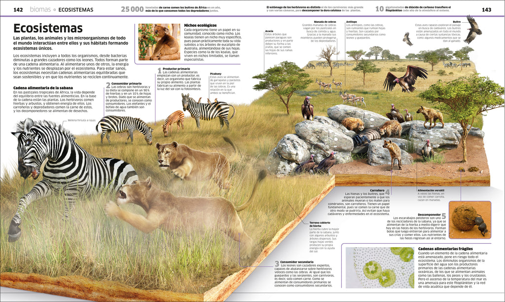 Planeta tierra (Knowledge Encyclopedia Planet Earth!)-image