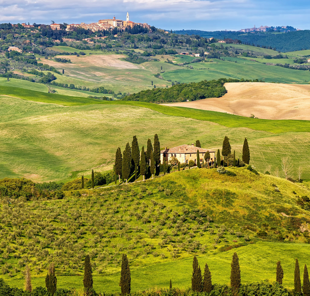 DK Top 10 Florence and Tuscany
