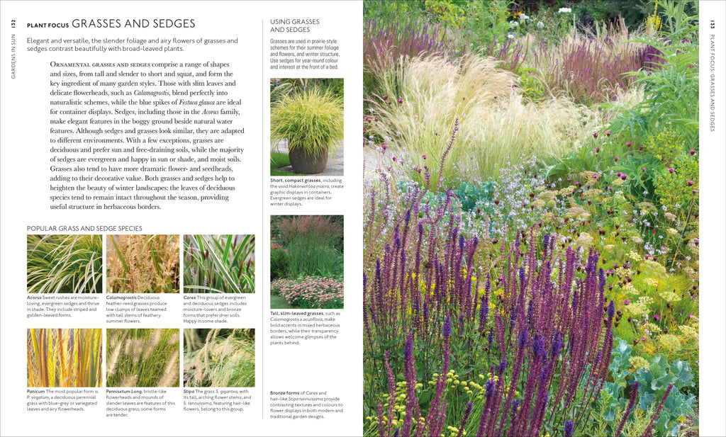 Encyclopedia of Garden Plants for Every Location-Spread, Image, (PRHC, Design, Do, Not, Use)-6