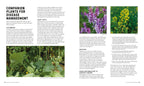 Companion Planting for Beginners-Spread, Image, (PRHC, Design, Do, Not, Use)-4